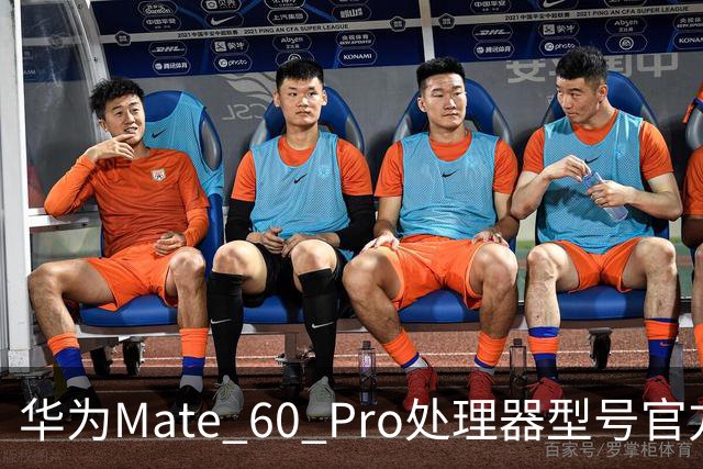 华为Mate 60 Pro处理器型号官方首次“揭秘”，搭载麒麟9000S与30、40、50、90“同台竞技”