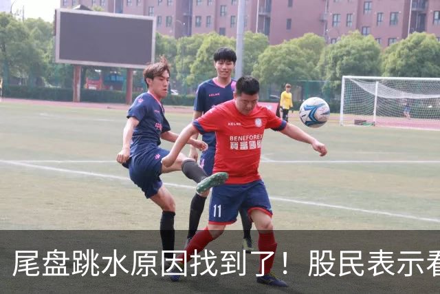 尾盘跳水原因找到了！股民表示看不懂，三季报出炉机构还是重仓科技