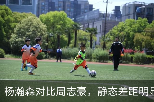 杨瀚森对比周志豪，静态差距明显，潜力却不在一个维度