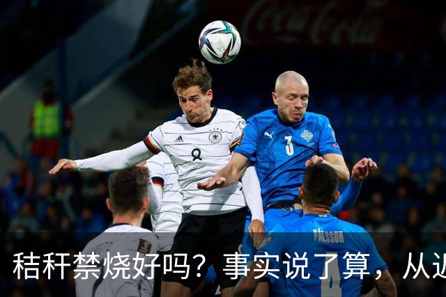 秸秆禁烧好吗？事实说了算，从近年蚯蚓鸟类和蛇类数量就可看出来