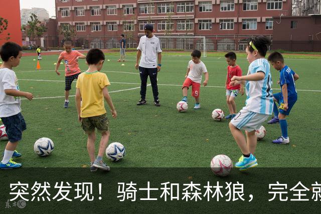 突然发现！骑士和森林狼，完全就是两个极端