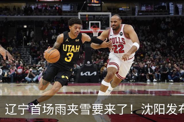 辽宁首场雨夹雪要来了！沈阳发布霜冻蓝色预警信号！