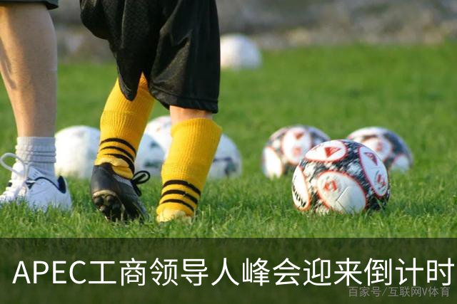APEC工商领导人峰会迎来倒计时1个月